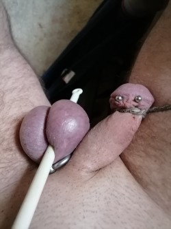 Bild Platz 157 der meist gecklickten User Anzeigen