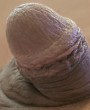 Bild zur Kontakt- und Kleinanzeige aus Gay & Grey überall