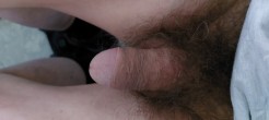 Bild von Fickteddybaer59