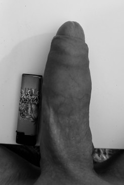 Bild von hamburgerbi1