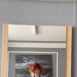 Bild von lucius52894