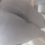 Bild von keqi4