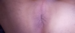 Bild von Passivefickstute