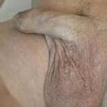 Bild von Translover1