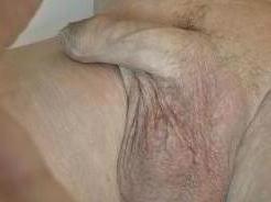 Bild von Translover1