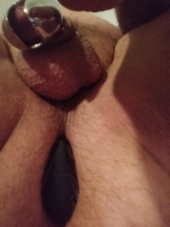 Bild von nicolay