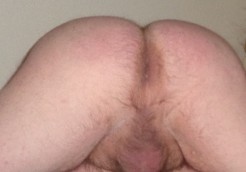 Bild von Hengst691