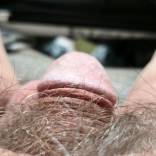 Bild von Oldie70