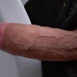 Bild von BISPERM1