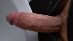 Bild von BISPERM1