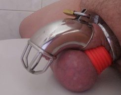 Bild von AnonymesBlasmaul