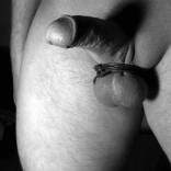 Bild von Rocknbilly