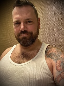 Bild von PPbear