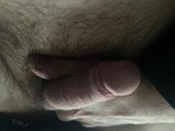 Bild von Honeymout