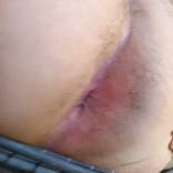 Bild von Stute1007