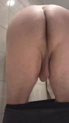 Bild von Willigestute7