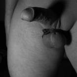 Bild von freehunt69