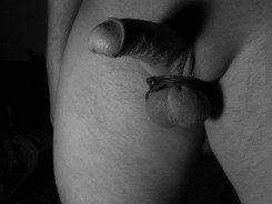 Bild von freehunt69