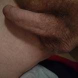 Bild von hhost85
