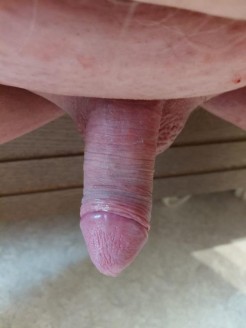 Bild von Brummipilot