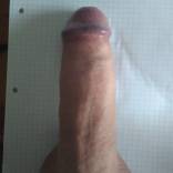 Bild von Blowfist