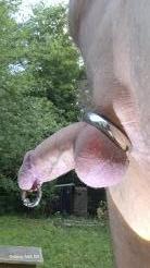 Bild von Wuenschelrute69
