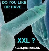 Bild von PHALLUS-CULT