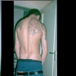 Bild von TIMO