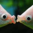 Bild von beisser55