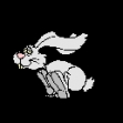 Bild von HOPPELBERL