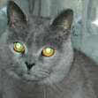 Bild von BIGGI